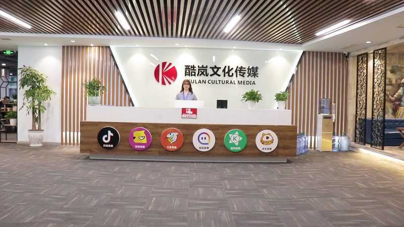 VI设计公司价格差异背后的考量因素